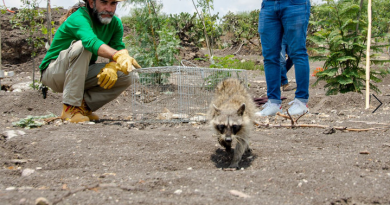 San Miguel de Allende Administration protects wildlife and environment / @MauricioTrejoP @GobMunicipalSMA >>>
