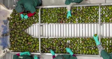 Mexico and the United States successfully close RV Fresh Foods case under T-MEC Rapid Response Labor Mechanism / @SE_mx >>>