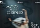 Swan Lake returns to Mexico City with the National Dance Company / @AuditorioMx
