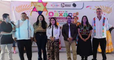 In Edomex, vibrant oaxacan tradition takes over Cuautitlán Izcalli in major cultural expo / @daniel_ser @GobIzcalli >>>
