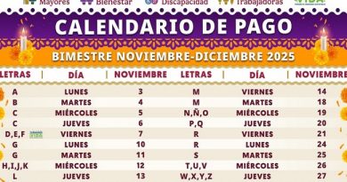 SECRETARIAT OF WELFARE Begins Payment of Pensions and Welfare Programs: November-December Schedule / @A_MontielR @bienestarmx