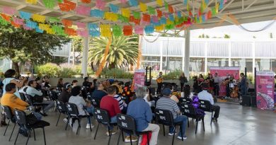 The Secretariat of Culture Celebrates 25 Years of the Feria de las Calacas: A Living Tribute to Art, Memory, and Tradition / @cultura_mx >>>