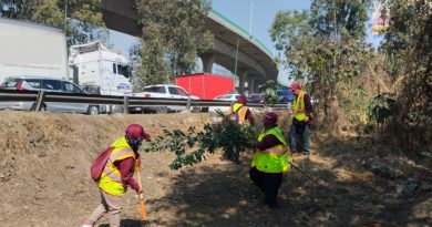 In Edomex, Raciel Pérez Cruz Champions a Perspicacious Vision to Reclaim Public Spaces and Ensure Total Illumination for Tlalnepantla Families / @RacielPerezC_ @Gob_Tlalne >>>
