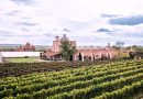 In Guanajuato, Mauricio Trejo aims to place San Miguel de Allende on the global wine stage with the arrival of the 2026 CMB International Gala / @MauricioTrejoP @GobMunicipalSMA