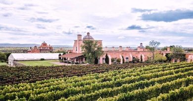 In Guanajuato, Mauricio Trejo aims to place San Miguel de Allende on the global wine stage with the arrival of the 2026 CMB International Gala / @MauricioTrejoP @GobMunicipalSMA