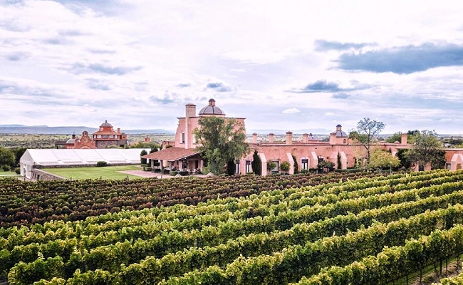 In Guanajuato, Mauricio Trejo aims to place San Miguel de Allende on the global wine stage with the arrival of the 2026 CMB International Gala / @MauricioTrejoP @GobMunicipalSMA